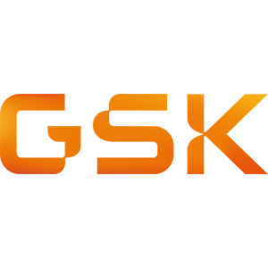 GSK N Organizasyon